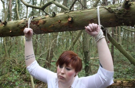 Older redhead sports rope marks after being tied to a fallen tree in the woods 88849717