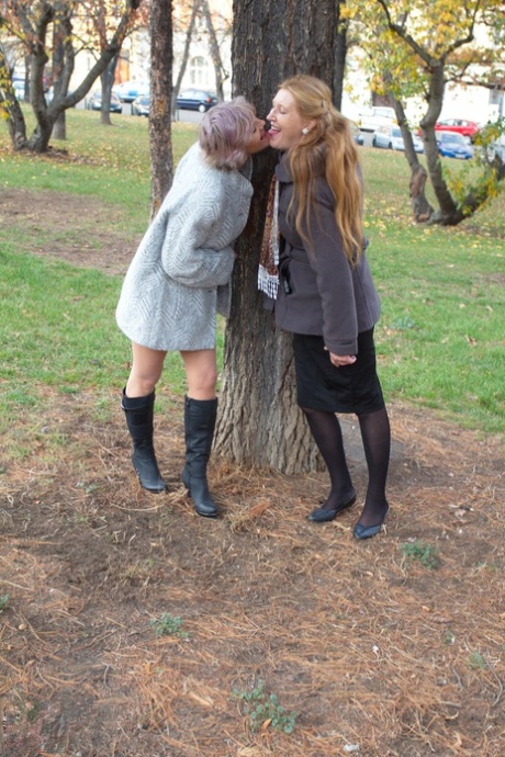 Mature lesbians flash upskirts on stairs while walking out in public 85677523